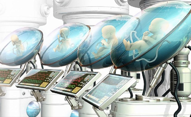 Création d’utérus artificiels : une révolution à venir d’ici 2050 ?