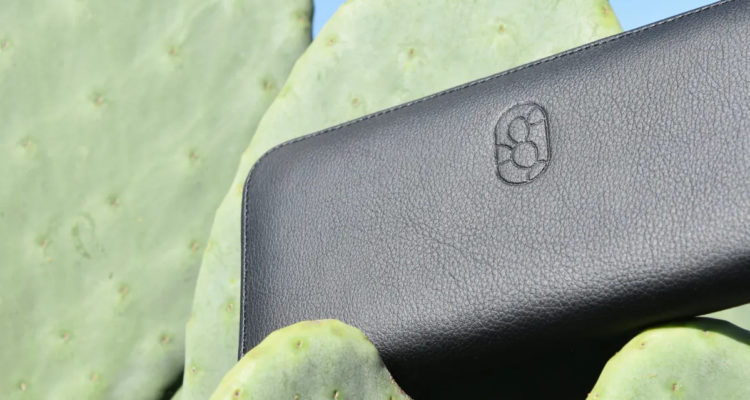 Deux jeunes transforment  les cactus en un cuir végétal
