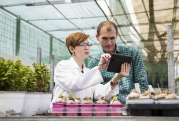 Etude : Des « barrières invisibles » entravent tous les aspects de la vie des femmes
