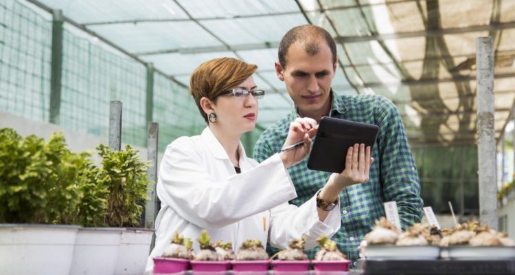 Etude : Des « barrières invisibles » entravent tous les aspects de la vie des femmes