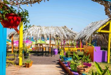 PURA VIDA, le beach le plus coloré de Hammamet réouvre ses portes