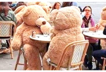 Un café parisien utilise des ours en peluche géants pour assurer la distanciation sociale