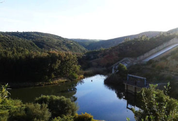 OUED MEJERDA : Le principal fleuve de la Tunisie est empoisonné par l’industrie