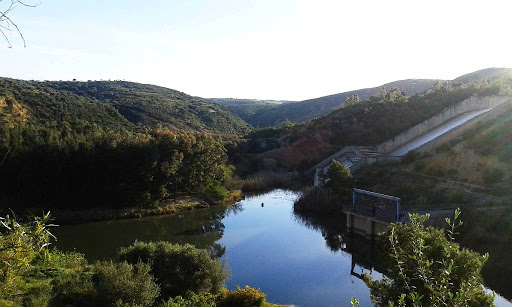 OUED MEJERDA : Le principal fleuve de la Tunisie est empoisonné par l’industrie