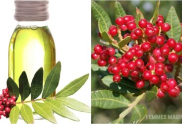 Avez-vous essayé l&rsquo;huile de lentisque (قضوم) ?