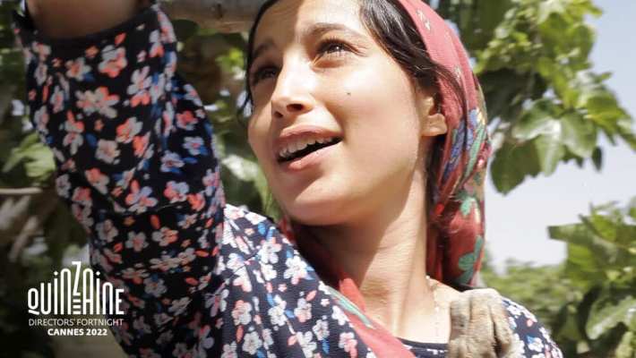 العرض العالمي الأول لفيلم تحت الشجرة في مهرجان كان السينمائي الدولي