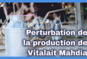 Les éleveurs laitiers protestent contre la récente hausse des prix des aliments pour animaux
