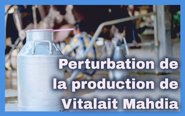 Les éleveurs laitiers protestent contre la récente hausse des prix des aliments pour animaux