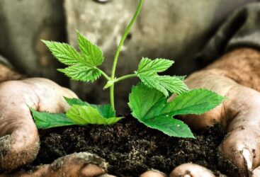 L’instant Nature: devenons respectueux de la nature.