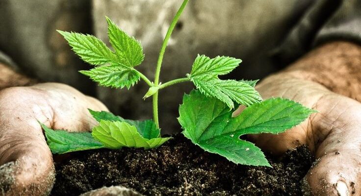 L’instant Nature: devenons respectueux de la nature.