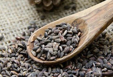 Siliana : Pins d&rsquo;Alep 127 tonnes disponibles dans la région.