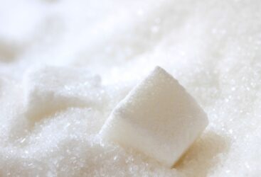Tunisie : À partir de demain production de 650 tonnes de sucre blanc par jour.