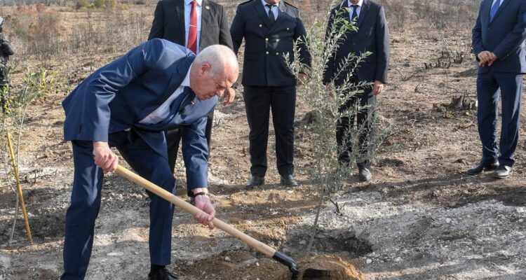 Tunisie: Le président de république plante un arbre qui porte un message fort…