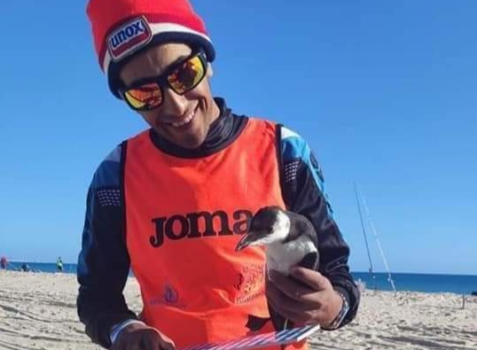 Dérèglement climatique : Un pingouin retrouvé sur une plage en Tunisie.