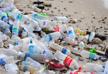 Ministre de l&rsquo;Environnement : la Tunisie fait partie des 191 pays qui se plaignent des dangers de la pollution plastique.