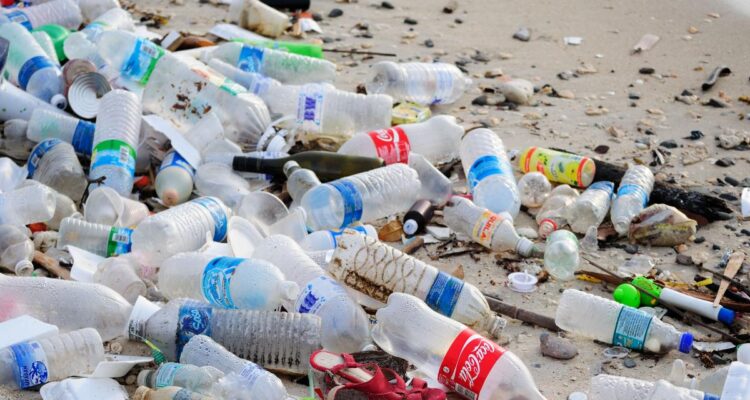 Ministre de l&rsquo;Environnement : la Tunisie fait partie des 191 pays qui se plaignent des dangers de la pollution plastique.