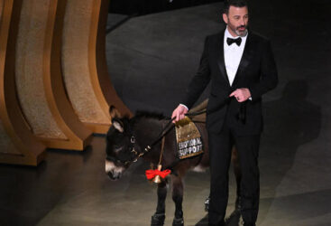 OSCARS 2023 : UN ÂNE ET UN OURS ACCRO À LA COCAÏNE SUR LE TAPIS ROUGE.