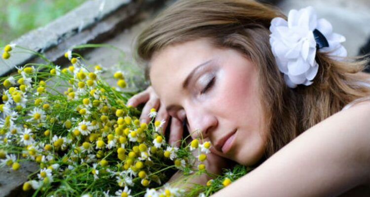 Traiter les troubles du sommeil naturellement grâce à l&rsquo;utilisation de plantes.