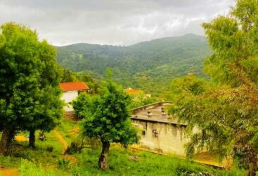   امطار متفرقة ورعدية متوقعة بالشمال ومحليا الوسط خلال هذا اليوم