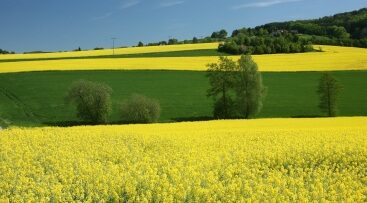 Allemagne : un nouvel abonnement de transport à 49 euros pour encourager l&rsquo;utilisation des transports en commun.