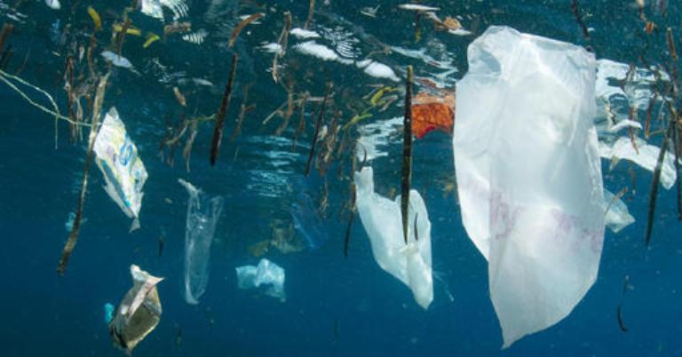 Le monde réuni en sommet à Paris pour tenter de mettre fin à la pollution plastique d’ici 2040
