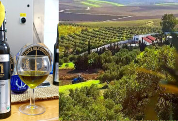 Le Concours de l&rsquo;huile d&rsquo;olive DIDO : célébration de l&rsquo;excellence oléicole mondiale lors de la cérémonie de remise des prix à l&rsquo;APIA.