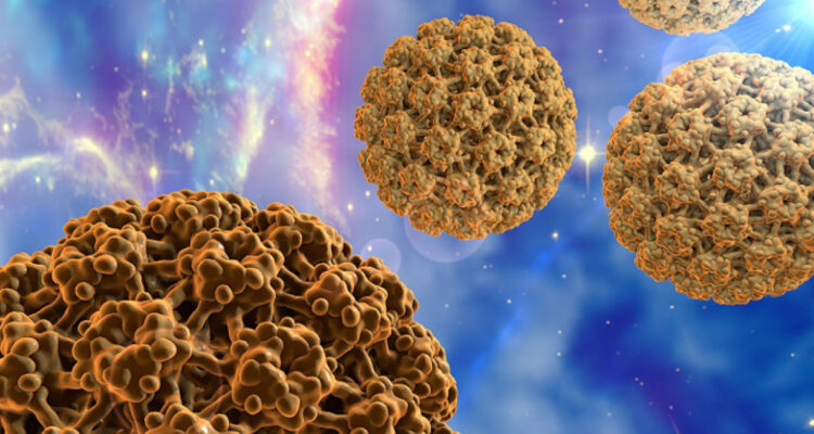 Une Étude Révèle que 31 % des Hommes de Plus de 15 Ans Sont Porteurs du Papillomavirus.