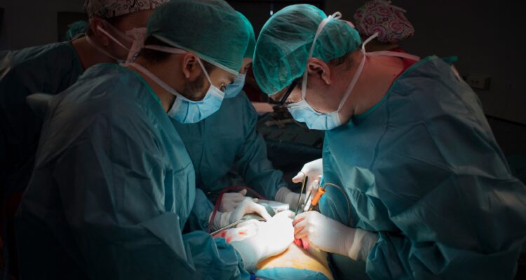 Une Révolution Médicale : Un Rein de Porc Fonctionne avec Succès dans un Corps Humain Plus d&rsquo;un Mois après sa Greffe.