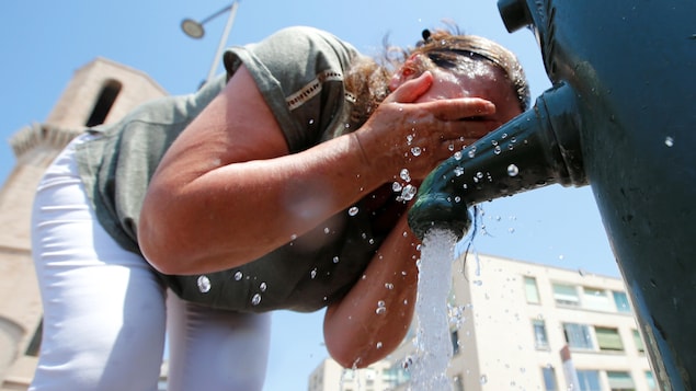 Canicule : Les Femmes Plus Vulnérables que les Hommes aux Vagues de Chaleur Mortelles.