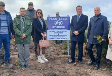 Pour chaque véhicule vendu, un arbre planté : Hyundai Tunisie révolutionne son approche écologique.