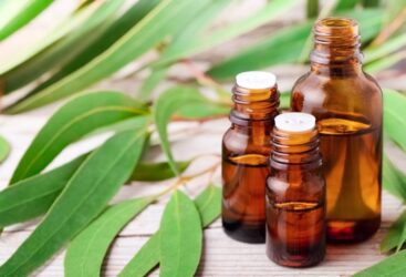 Prenez soin de vos voies respiratoires avec l’huile essentielle d’Eucalyptus.