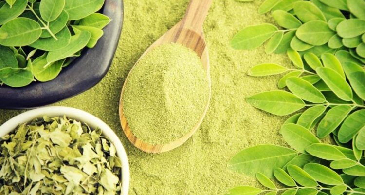 Les Bienfaits du Moringa Oleifera : Une Plongée au Cœur de l&rsquo;Arbre Miracle.