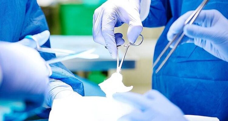 France: La vasectomie gagne en popularité : une option de stérilisation de plus en plus choisie par les hommes.