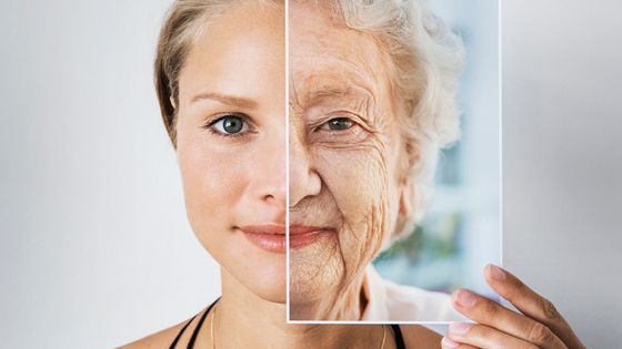 Pourquoi certaines personnes semblent-elles vieillir moins rapidement que d’autres ?