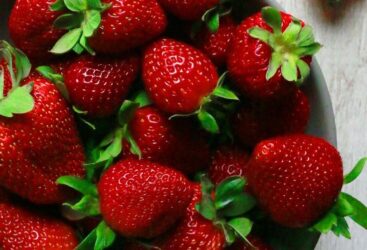 Choisir les meilleures fraises : 5 astuces infaillibles pour des fruits savoureux.