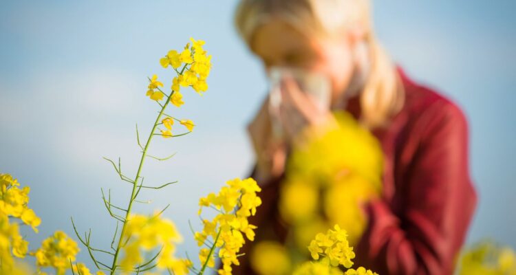 Les principales agences sanitaires présentent une terminologie actualisée pour les agents pathogènes qui se transmettent par voie aérienne.