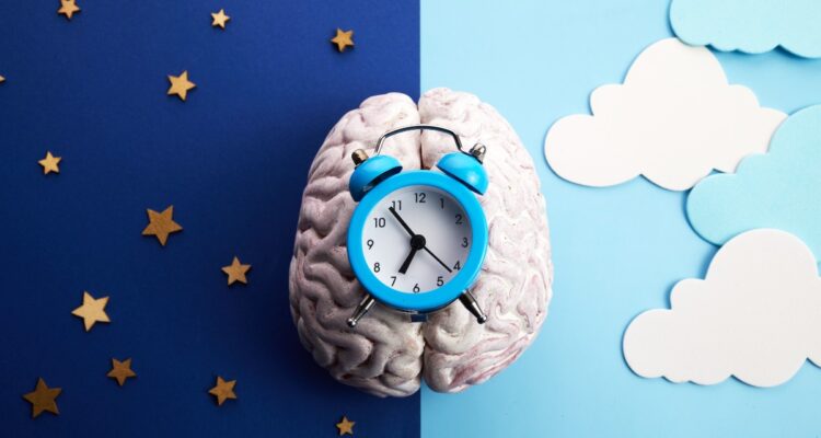 Pourquoi notre horloge interne nous fait-elle nous réveiller de plus en plus tôt en vieillissant ?