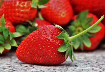 Comment Conserver vos Fraises Plus Longtemps?