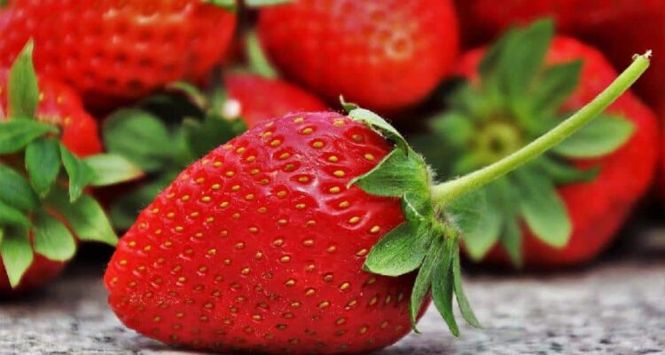 Comment Conserver vos Fraises Plus Longtemps?