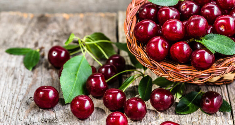 Comment Reconnaître les Meilleures Cerises?