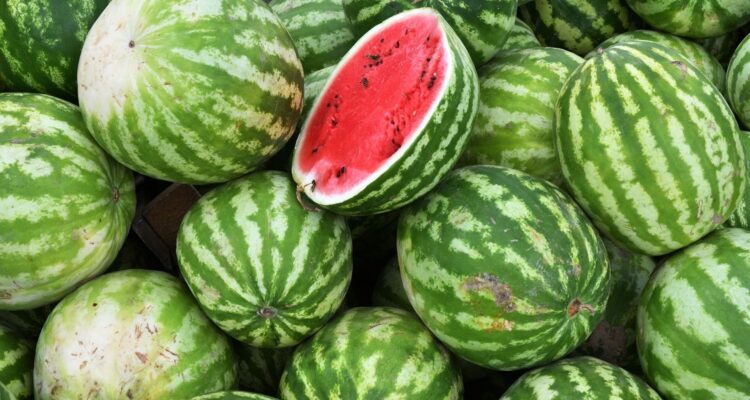 Comment Choisir la Parfaite Pastèque ?