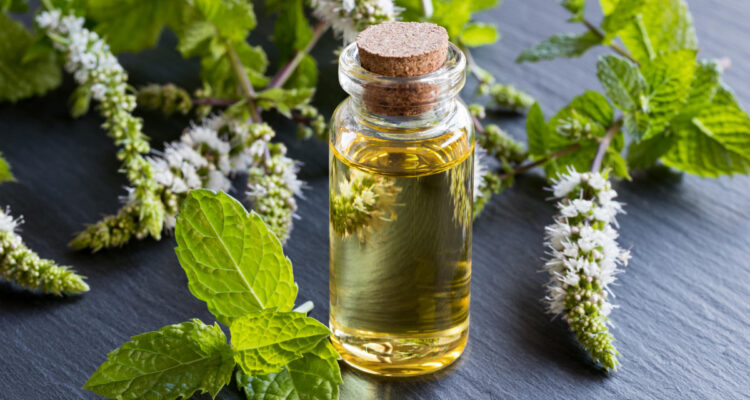L&rsquo;huile essentielle idéale pour soulager un nez bouché (facile à trouver).