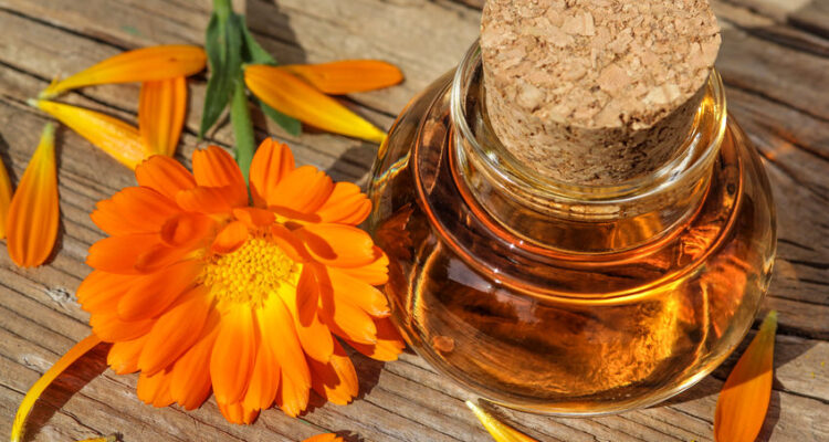 Les Bienfaits de l’Huile de Calendula : Un Soin Naturel Pour la Peau.