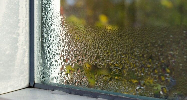 Lutter contre l&rsquo;humidité à la maison : une astuce simple et naturelle.