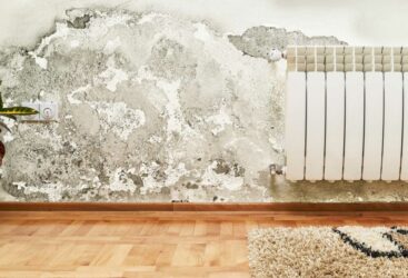 Éliminer la moisissure sur les murs : 5 méthodes simples et efficaces.