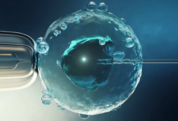 Un traitement non hormonal prometteur pour améliorer les chances de réussite de la FIV.