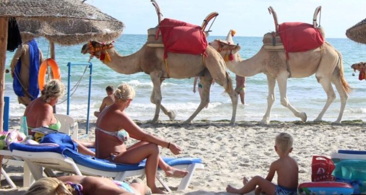 Tourisme en Tunisie : quand innovation et créativité redessinent l’avenir du secteur