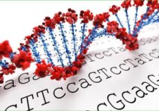 Influence des mots et des fréquences sur l’ADN : entre science, croyances et questions ouvertes