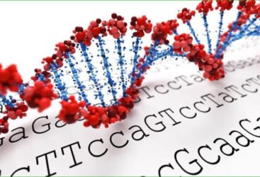 Influence des mots et des fréquences sur l’ADN : entre science, croyances et questions ouvertes