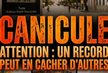 Canicule — Attention : un record peut en cacher d’autres
